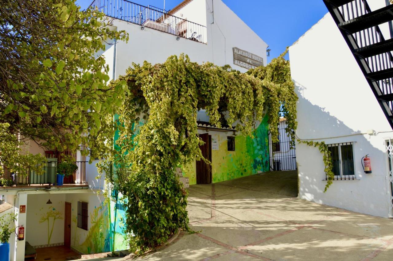 Ecoalbergue Rural De Algodonales Exterior photo
