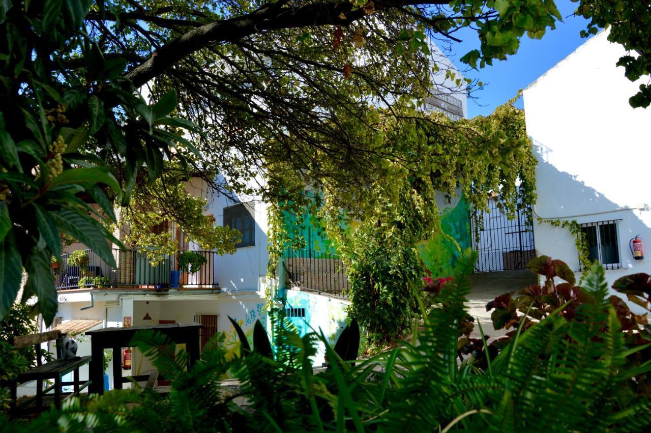 Ecoalbergue Rural De Algodonales Exterior photo