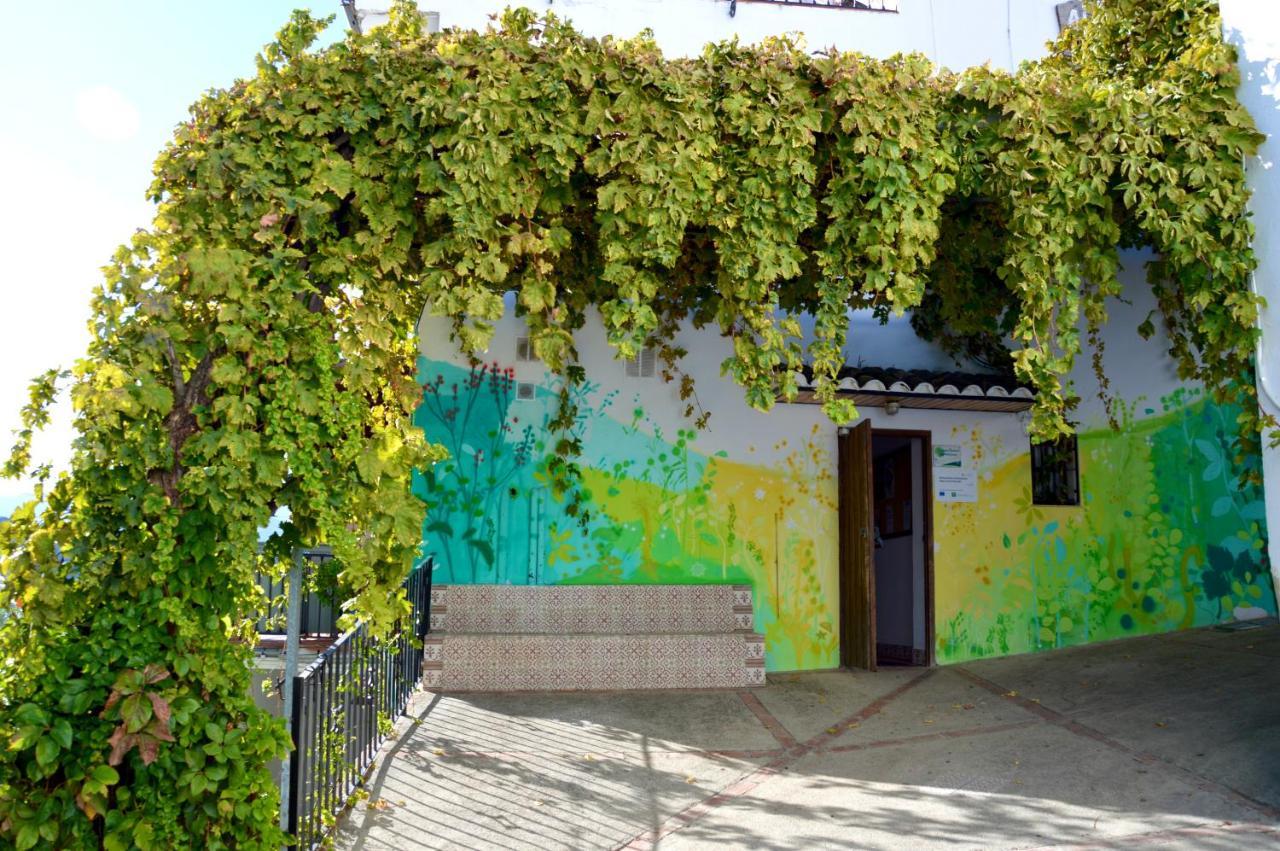 Ecoalbergue Rural De Algodonales Exterior photo