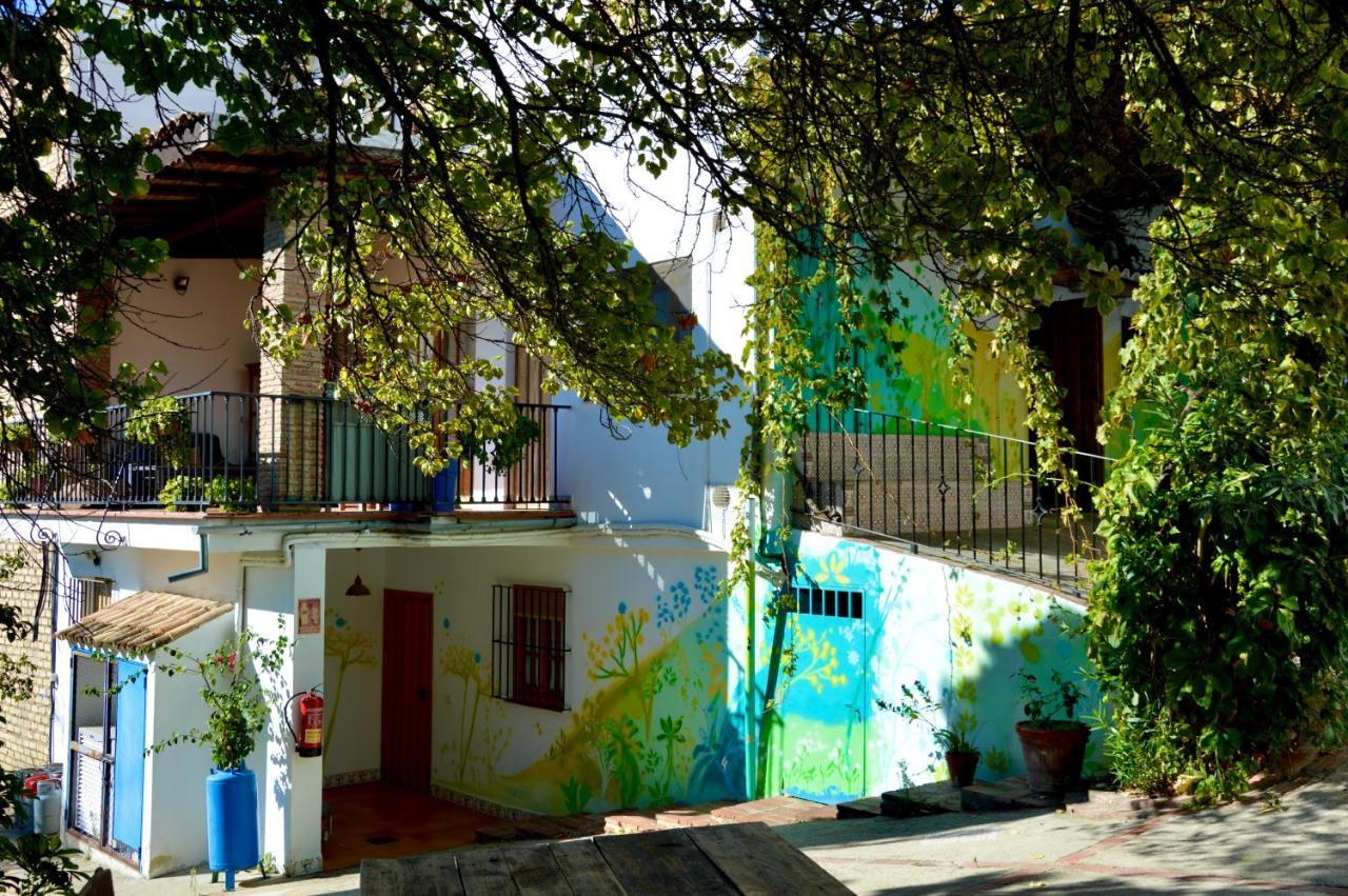 Ecoalbergue Rural De Algodonales Exterior photo