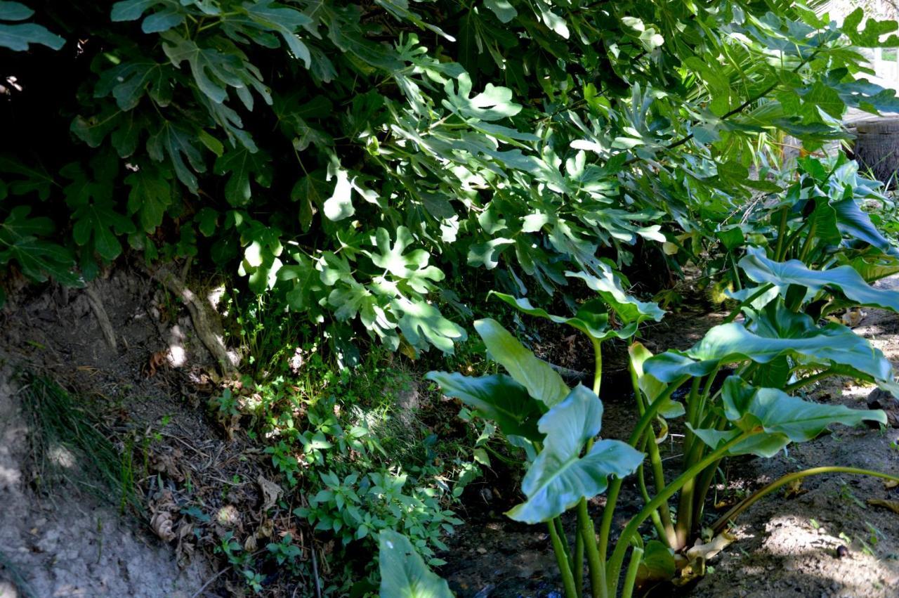 Ecoalbergue Rural De Algodonales Exterior photo